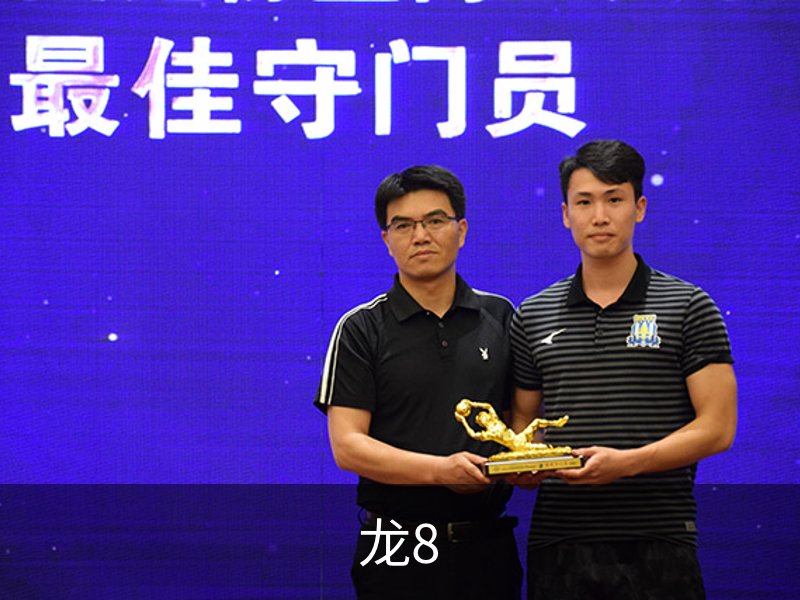 龙8简介